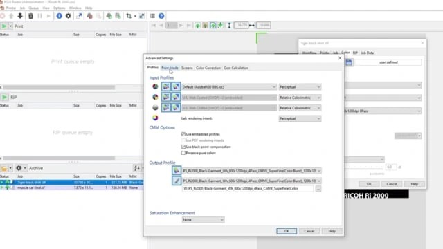 Colorgate Rip Update - Vintage Photo Collection - 4K Quality
